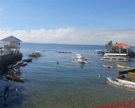 CNC DIVE RESORT at CEBU, Lapu Lapu City (updated prices 2025) .